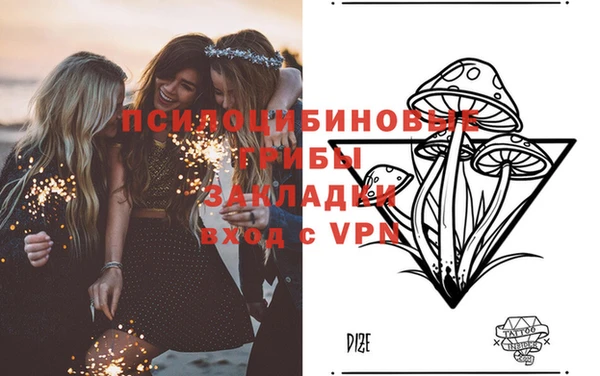амф Абдулино