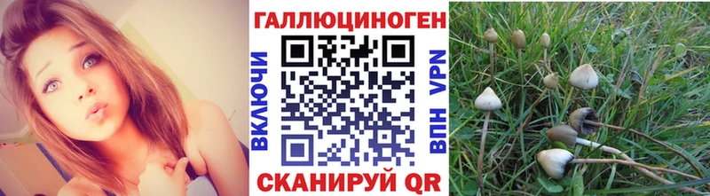 Галлюциногенные грибы Psilocybe  что такое   Правдинск 
